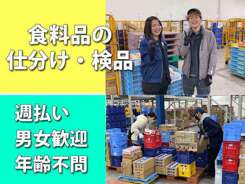 株式会社アドバンスの仕事画像1