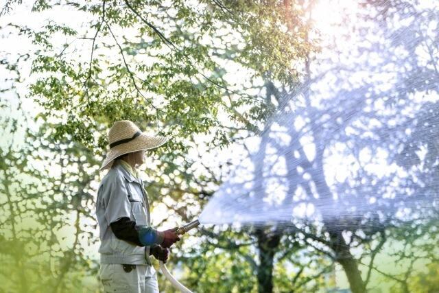 株式会社　栃木美装 本社【001】の仕事画像1