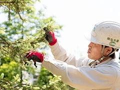 有限会社ハヤマ緑化の仕事画像1