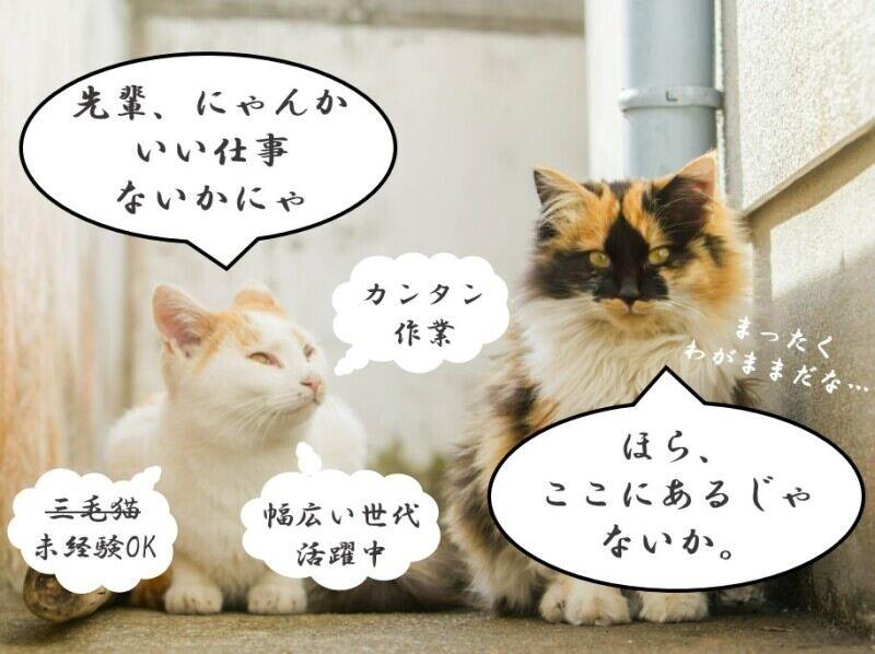 株式会社A-Trus 採用係[okuno]の仕事画像2