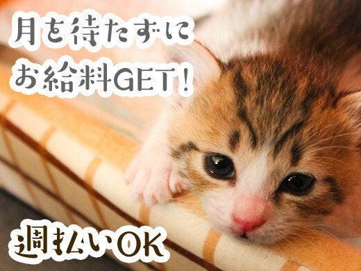 株式会社A-Trus 採用係[tsukahara]の仕事画像3