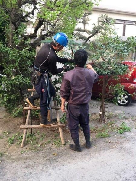 株式会社さかえ造園の仕事画像2