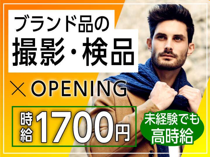 ライクスタッフィング株式会社 東京本社_応募受付先の仕事画像1