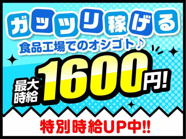 ライクスタッフィング株式会社 東京本社_応募受付先の仕事画像1