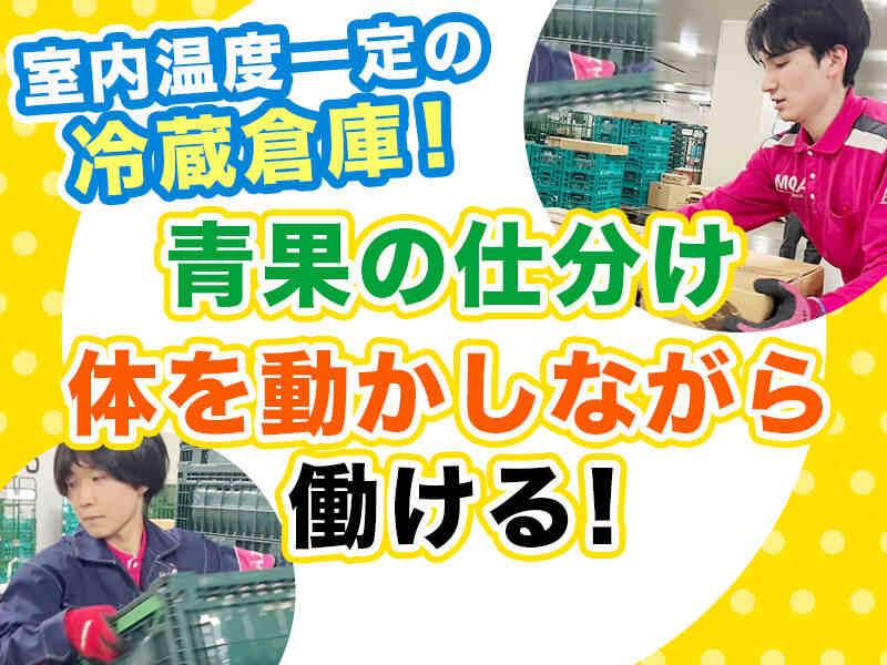 株式会社九州丸和ロジスティクス（ベジフルロジセンター）の仕事画像1