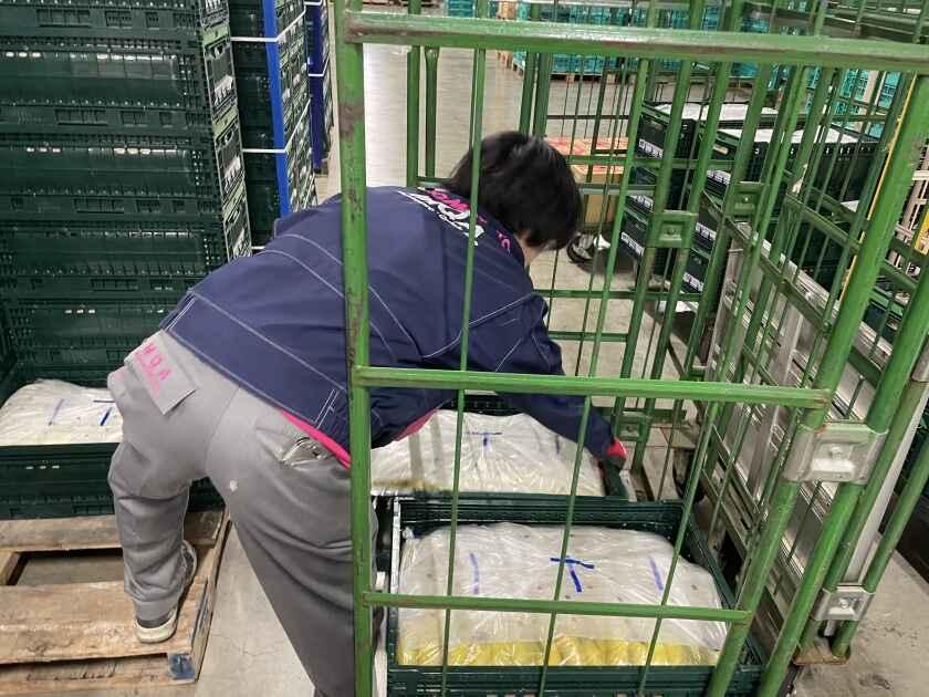 株式会社九州丸和ロジスティクス（ベジフルロジセンター）の制服2