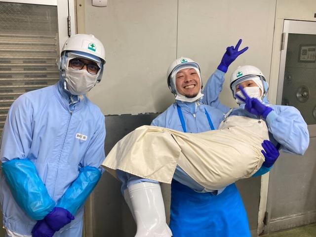 週3日～OK！短時間勤務OK◎/お肉の簡単軽作業/主婦さん活躍中！(工場・製造、足立区)のイメージ画像