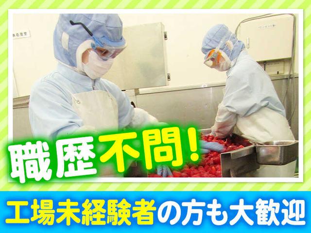【年間休日120日/賞与4.9ヶ月】ソースの製造工場/福利厚生も充実(工場・製造、佐野市)のイメージ画像