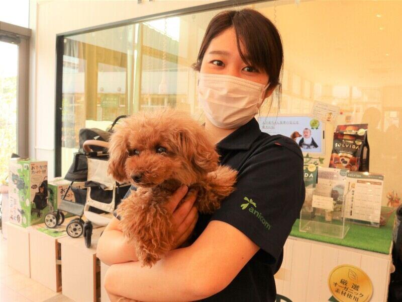 ペットショップ犬の家&猫の里 くりえいと宗像店の仕事画像2