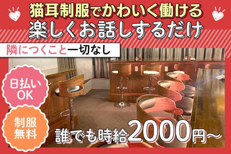 Prime Girl's Collectionの仕事画像2