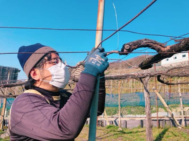カタシモワインフード株式会社の仕事画像2
