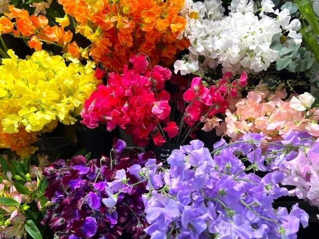 株式会社ほたるコーポレーションの仕事画像1