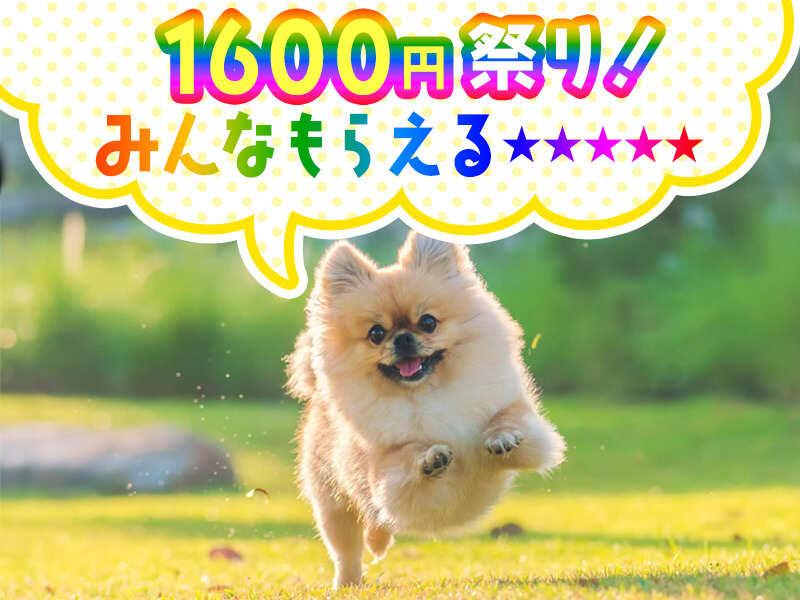 株式会社ブルームの仕事画像1