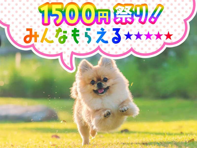 株式会社ブルームの仕事画像1