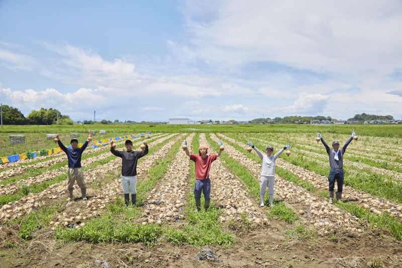 イオン農場の仕事画像1