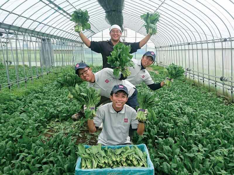 イオン農場の仕事画像2