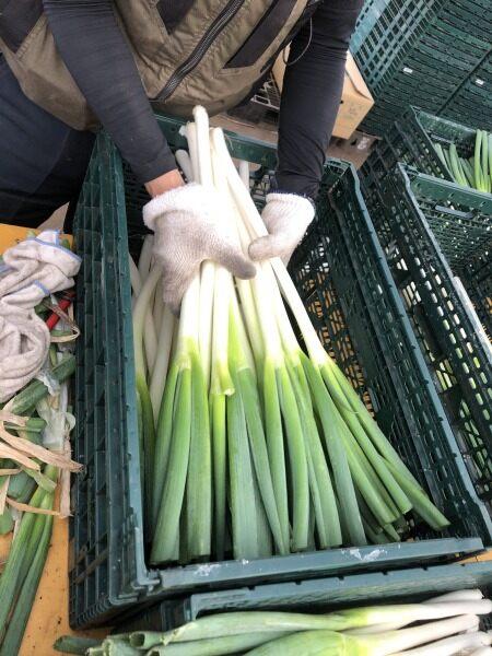 イオンアグリ創造株式会社の仕事画像2