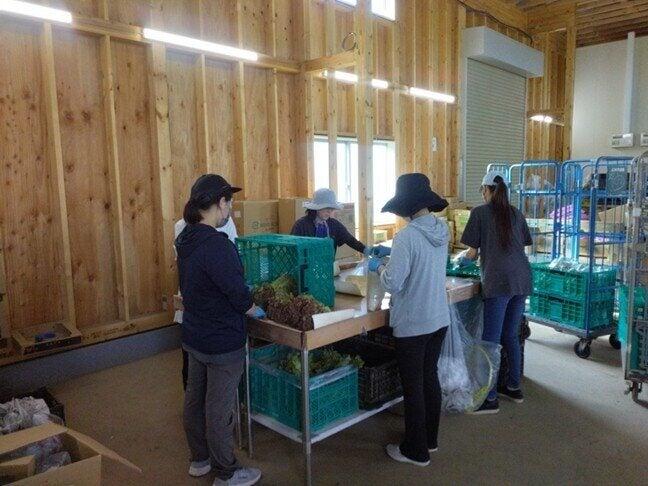 イオン茨城牛久農場の仕事画像3