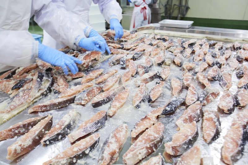 協同水産流通株式会社の仕事画像2