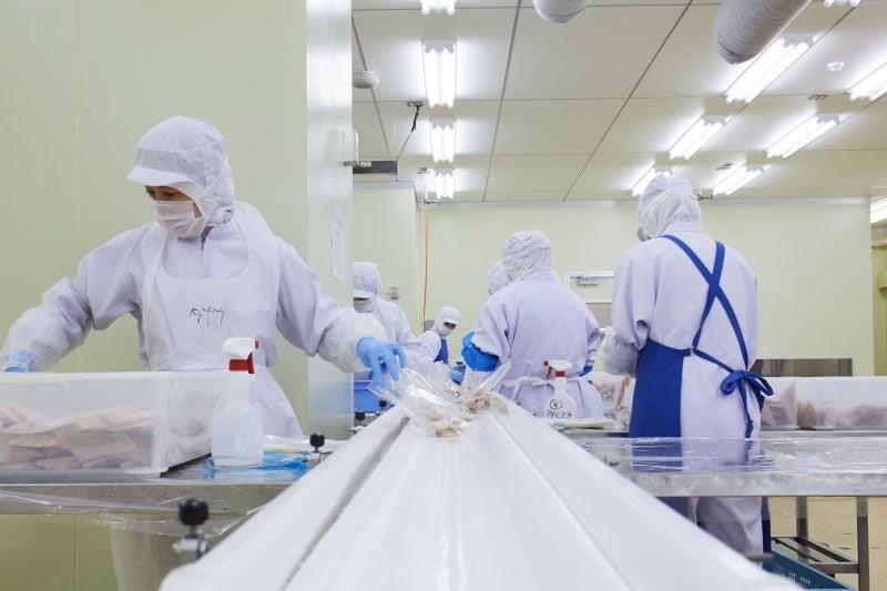 協同水産流通株式会社の仕事画像3