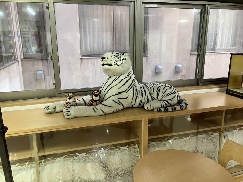 株式会社トリガーの仕事画像2