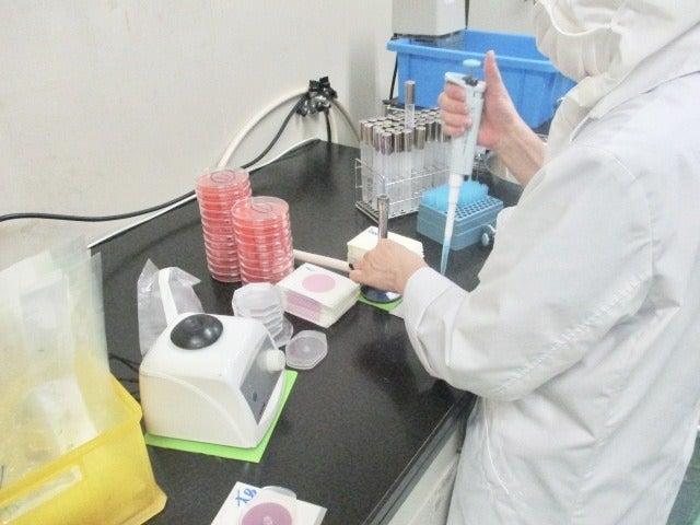 株式会社ファーストフーズ名古屋　桑名工場の仕事画像1