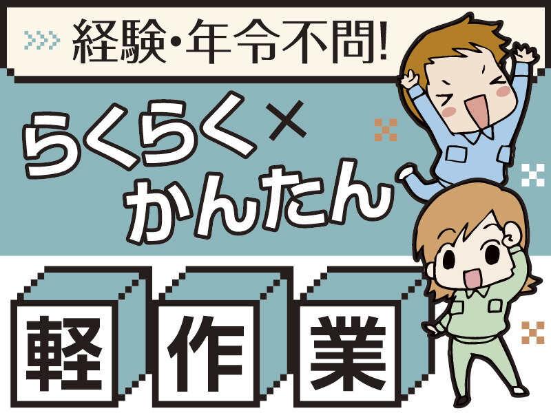 株式会社アイズプラスの仕事画像2