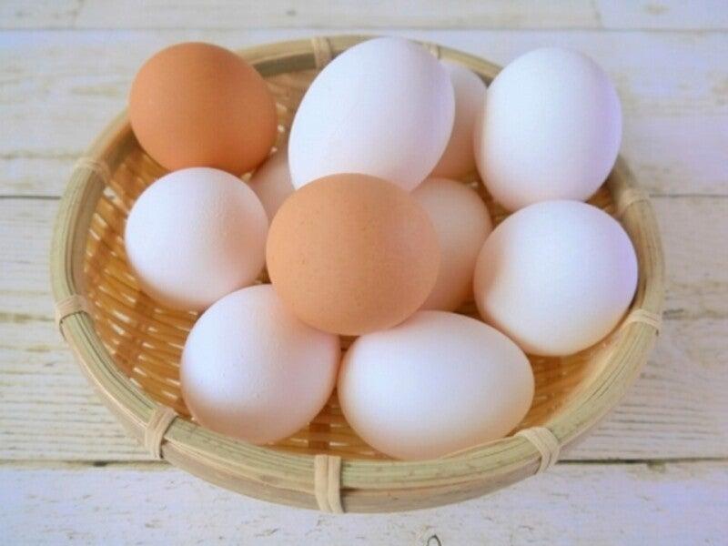 株式会社パートナーズ四国 採用係の仕事画像1