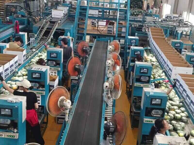 富永商事株式会社 神戸P.I.北物流センターの仕事画像3