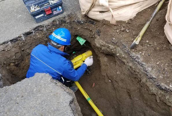 有限会社セイナ 採用担当の仕事画像1