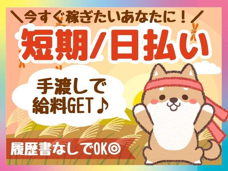 ネオウィル大阪株式会社(WEB登録可)の仕事画像2