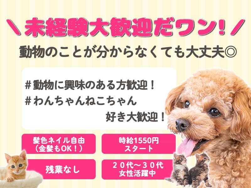 ヒトトヒトキャリアライズ株式会社の仕事画像1