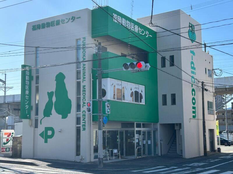 福岡動物医療センター　竹下院の仕事画像1