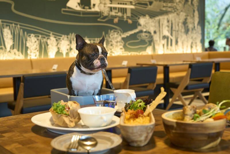 Sport & Do Resort リソルの森の仕事画像1