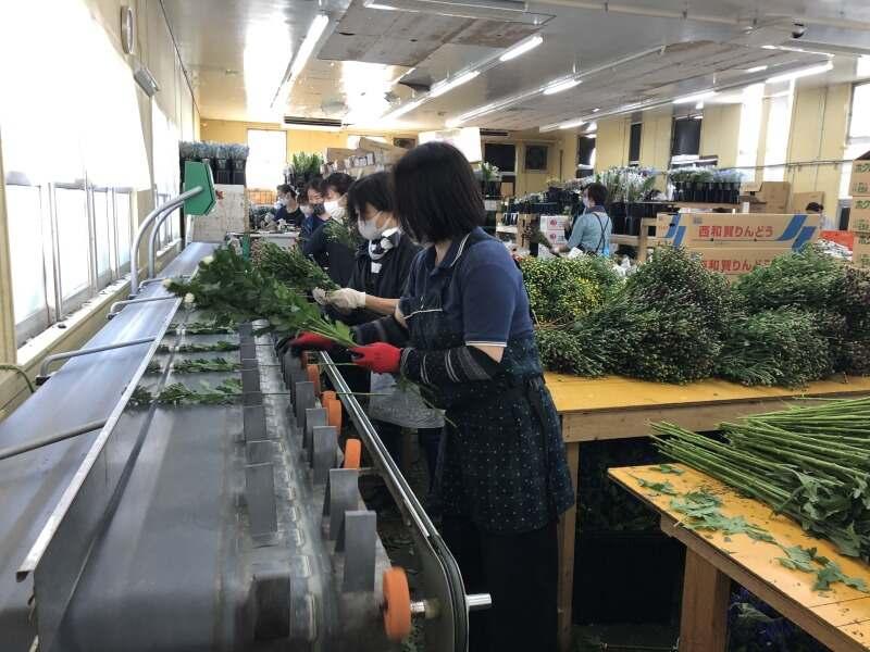 株式会社デリフラワーの仕事画像2