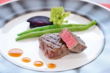 コレドール湯河原Dog&Resortの仕事画像2