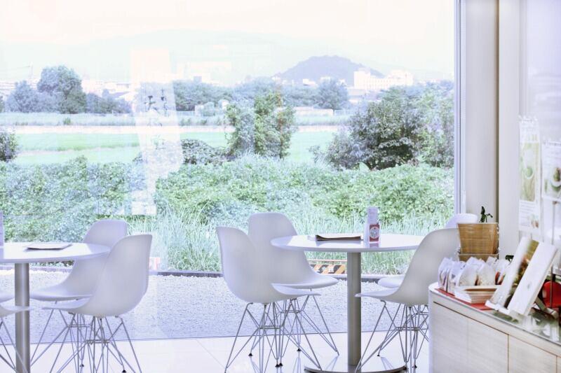 井上天極堂　橿原店の仕事画像2