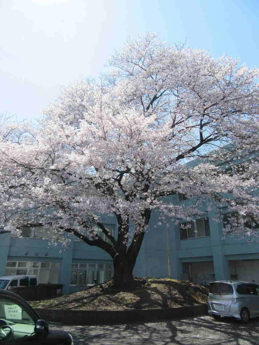 介護老人保健施設　ヴィラ横浜の制服3