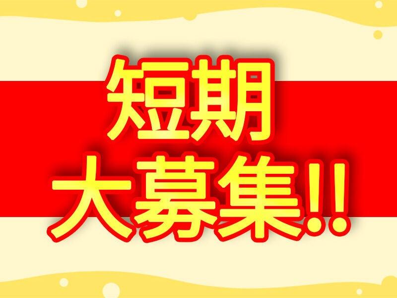 株式会社レイバーブレーンの仕事画像1