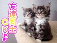 DITA inc.（ディータ） ディータ応募受付センター（大阪）の仕事画像3