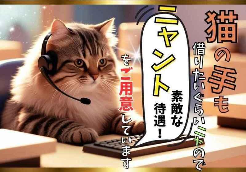 DITA inc.（ディータ） ディータ応募受付センター（大阪）の仕事画像1