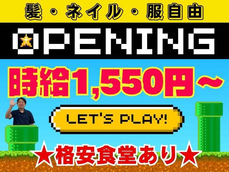 ワールドワークス株式会社の仕事画像1
