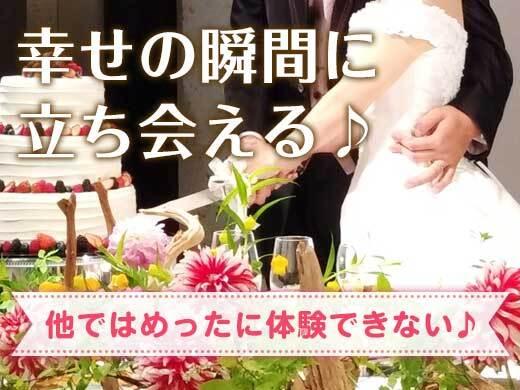 株式会社ソフトクリエイトサービスの仕事画像1