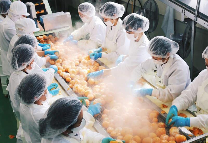 株式会社早和果樹園の仕事画像2