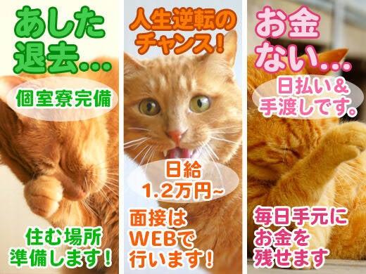 寮完備で新生活スタート！安定して稼げる！日払い◎(建築・土木、北葛城郡王寺町)のイメージ画像