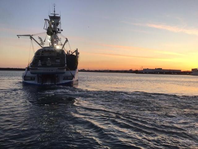 【レア求人】船の上で水揚げSTAFF＃WワークOK＃日給1万円以上！(専門職、その他、焼津市)のイメージ画像