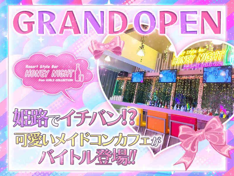 HONEY NIGHTの仕事画像1