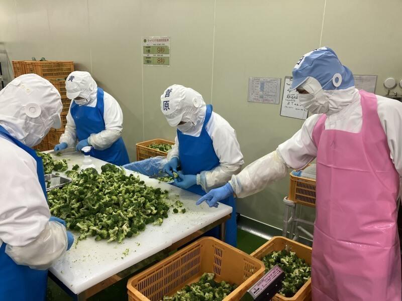 株式会社パルライン 板倉食品加工センターの仕事画像2