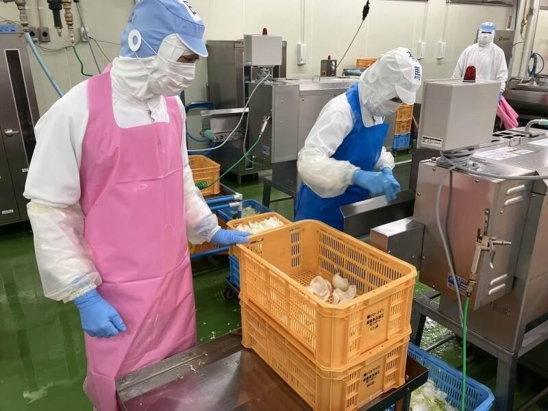 株式会社パルライン 板倉食品加工センターの仕事画像3