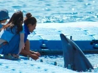 株式会社スタッフエージェント 名古屋営業所【003】の仕事画像1